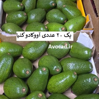 پک ۲۰ عددی آووکادو کنیا – اقتصادی، پرحجم و مقرون‌به‌صرفه!